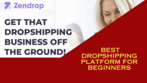 Read more about the article Zendrop Review: Why This is the Best Dropshipping Platform for Beginners